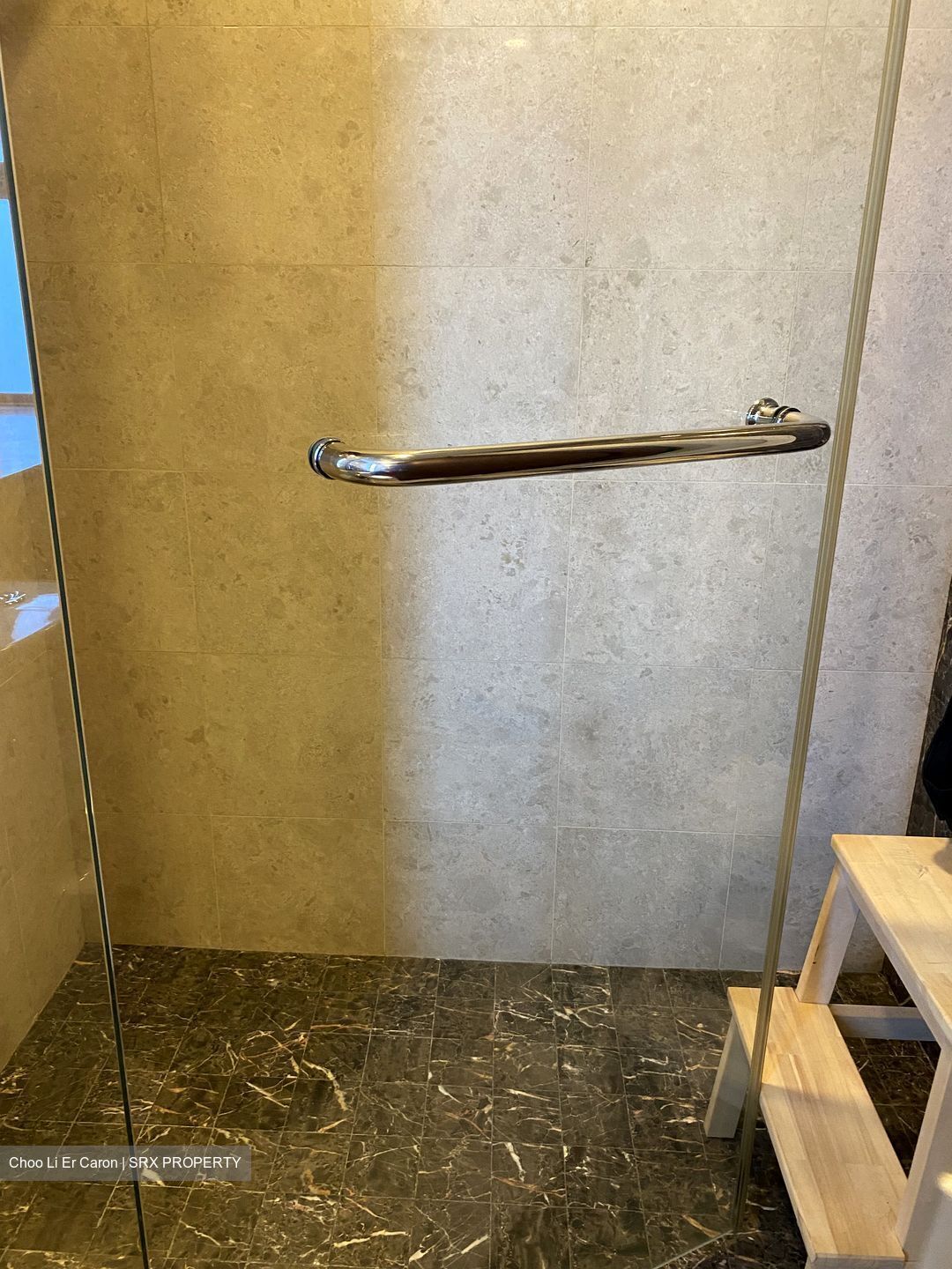 Residences @ Evelyn (D11), Condominium #324404321